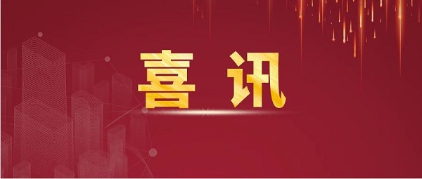 해외 해외 스포츠 사이트 사이트